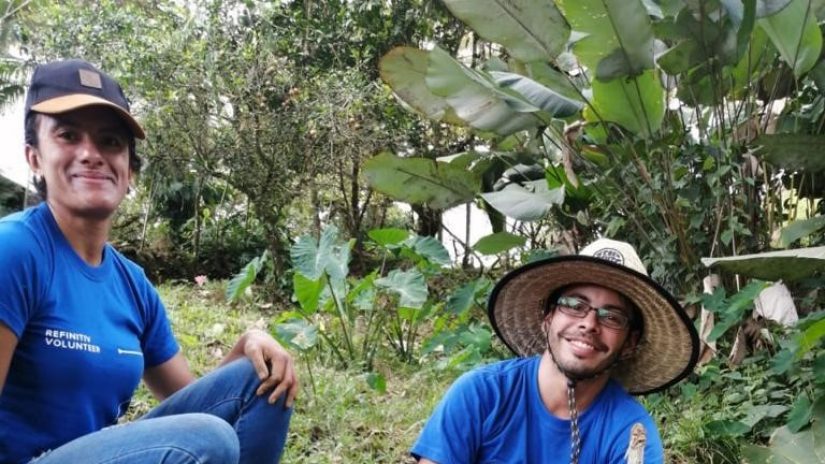 Refinitiv employees tree planting in Costa Rica