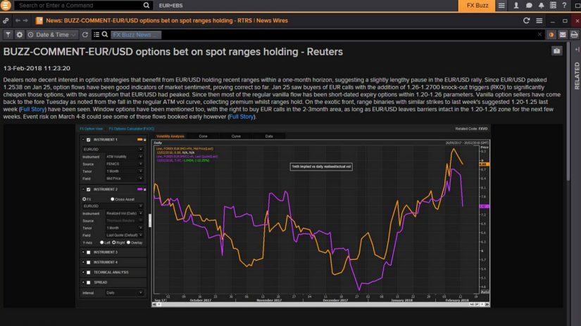 screenshot of FX Buzz Forex option commentary