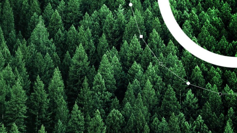 Aerial view of green pine forest with Refinitiv sustainability logo